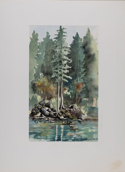 Jacques NOURY : Arbres au bord de la rivière - Aquarelle originale signée