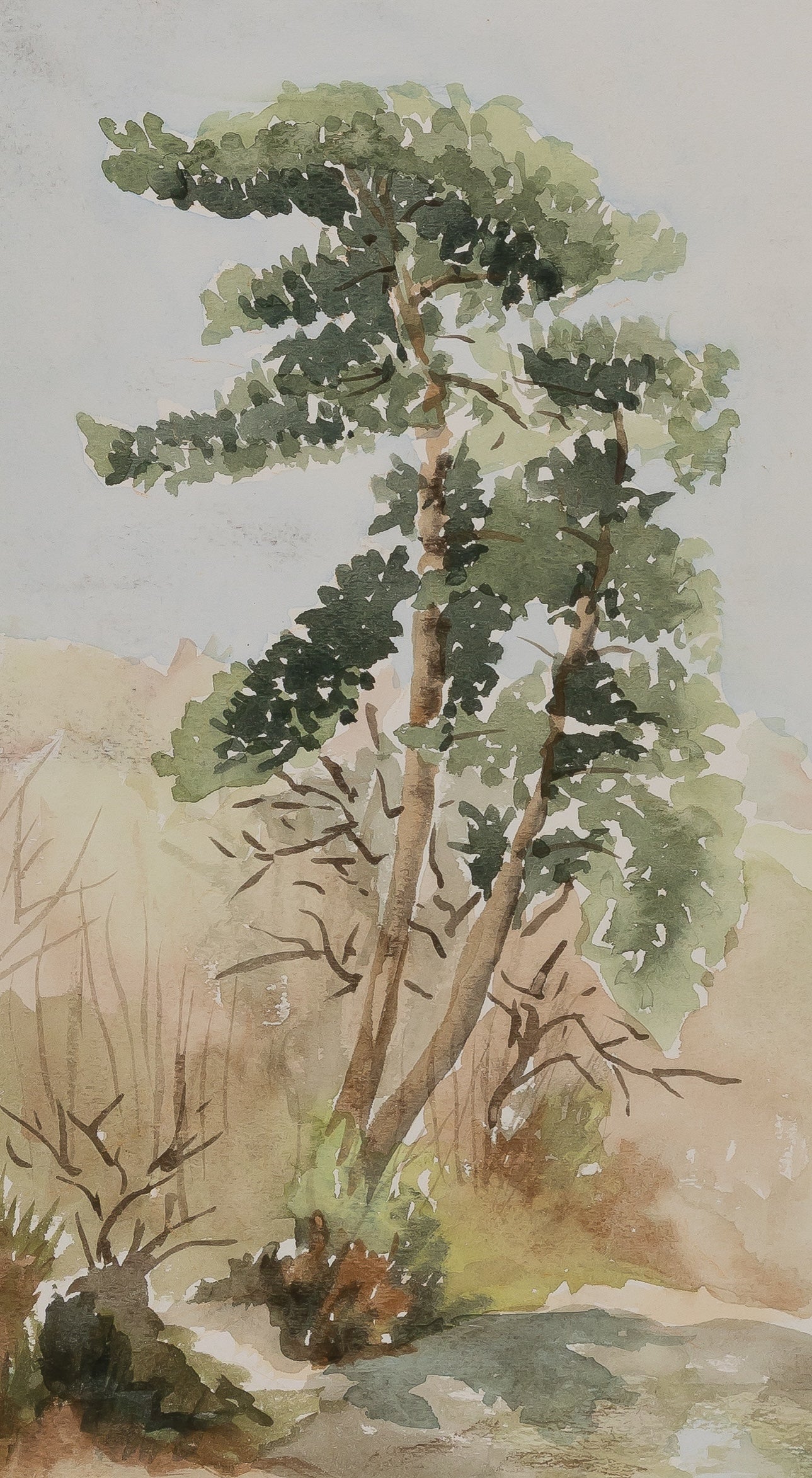 Jacques NOURY : Sur le chemin - Aquarelle originale signée
