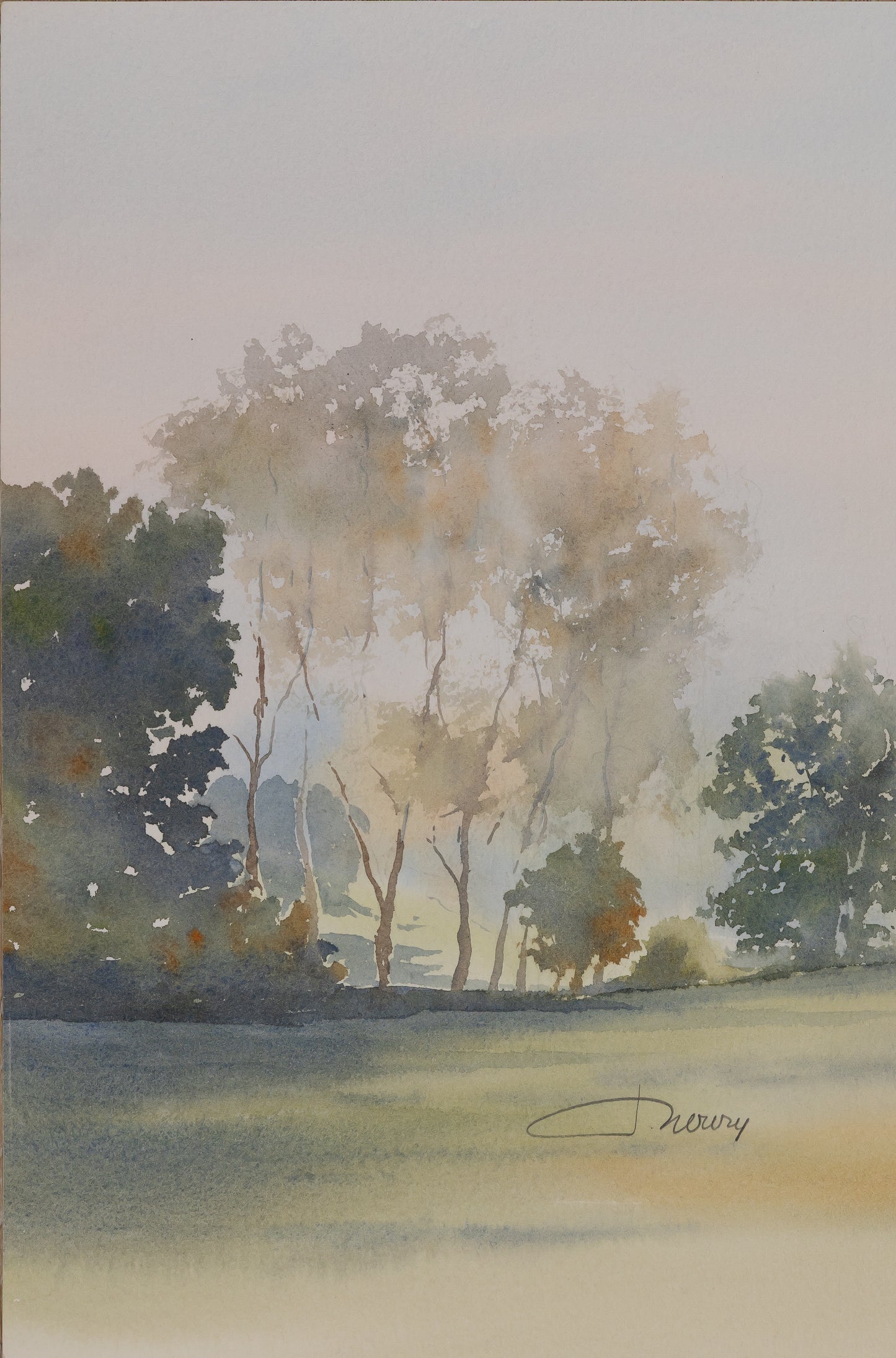 Jacques NOURY : Au bord de la forêt - Aquarelle originale signée