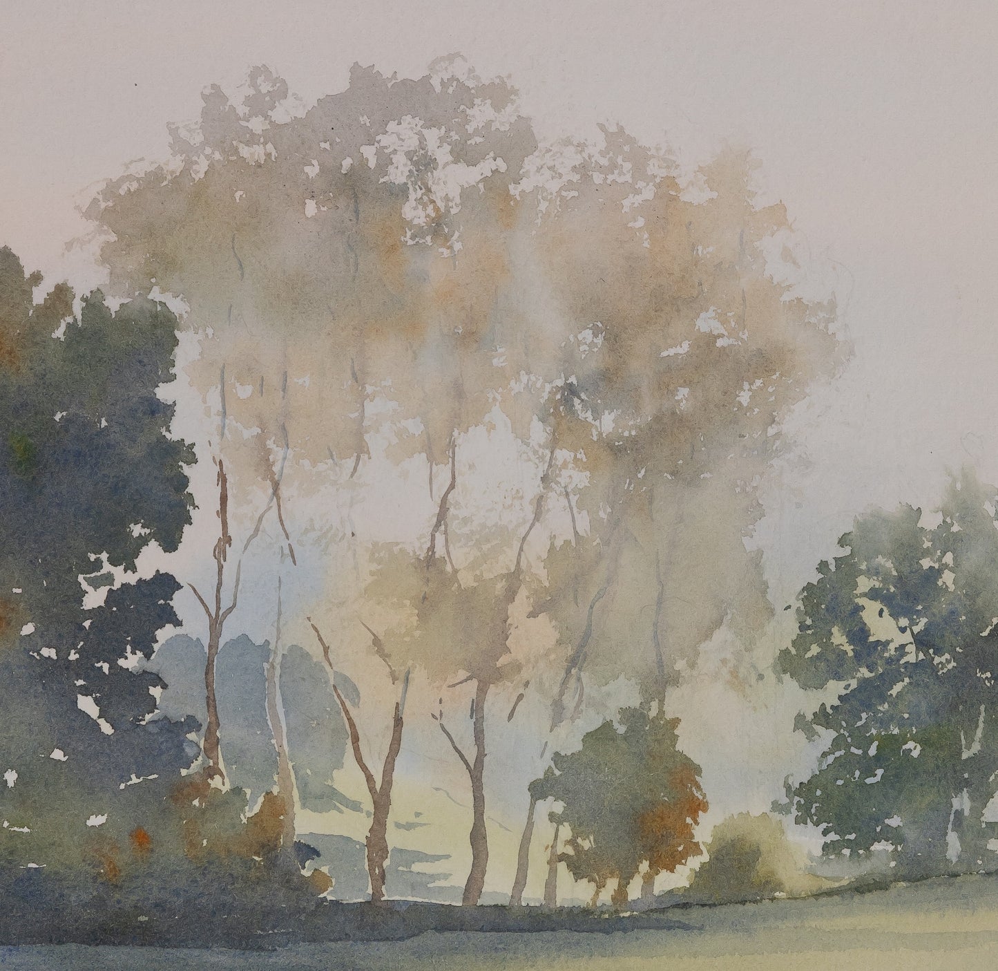 Jacques NOURY : Au bord de la forêt - Aquarelle originale signée