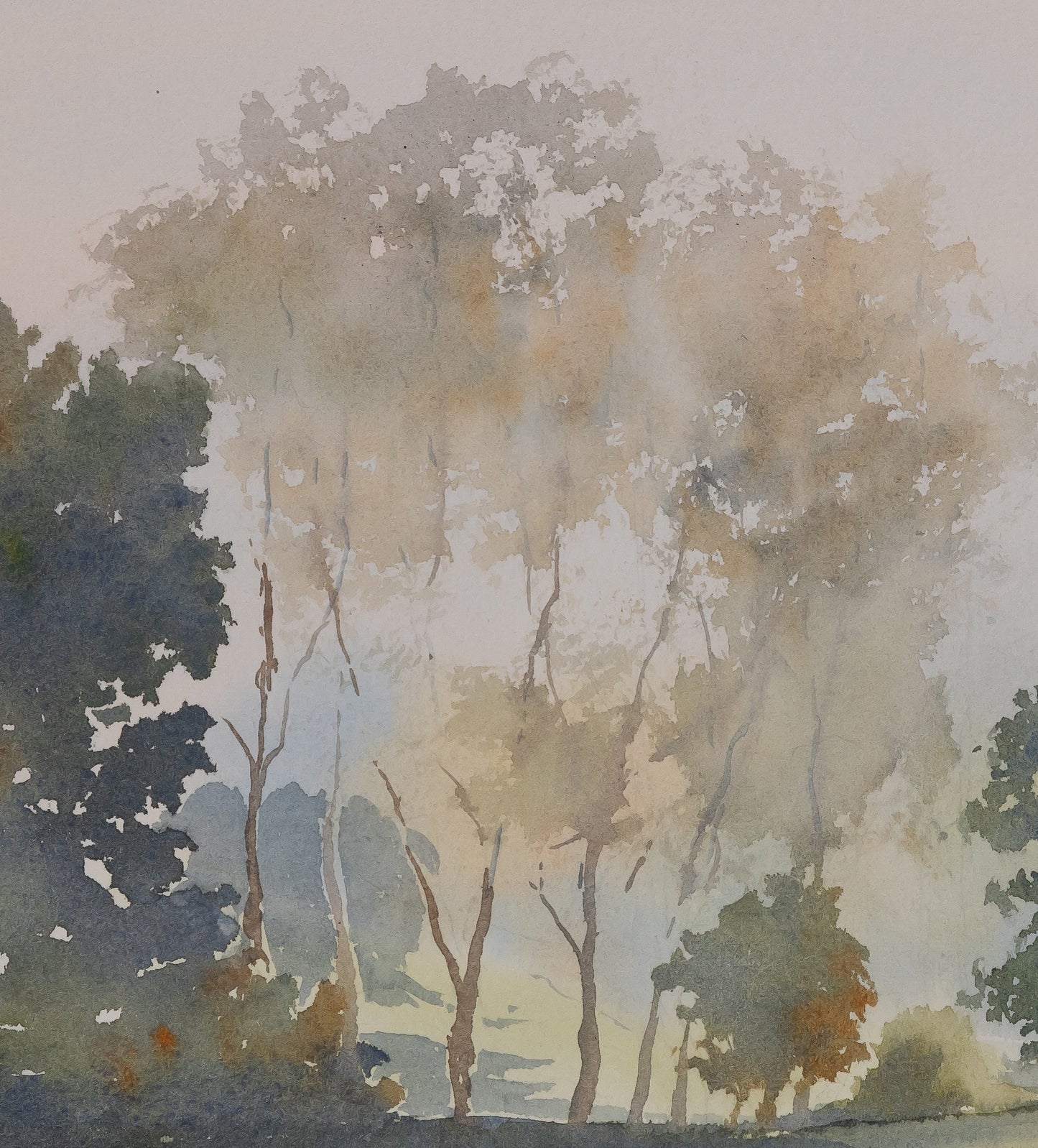 Jacques NOURY : Au bord de la forêt - Aquarelle originale signée