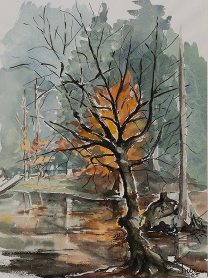 Jacques NOURY : Reflets d'arbres - Aquarelle originale signée