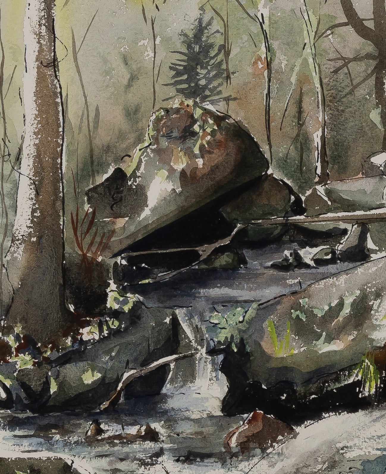 Jacques NOURY : Cours d'eau en forêt - Aquarelle originale signée