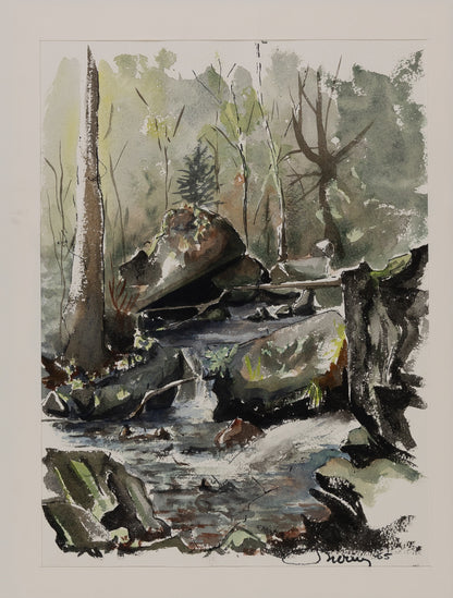 Jacques NOURY : Cours d'eau en forêt - Aquarelle originale signée