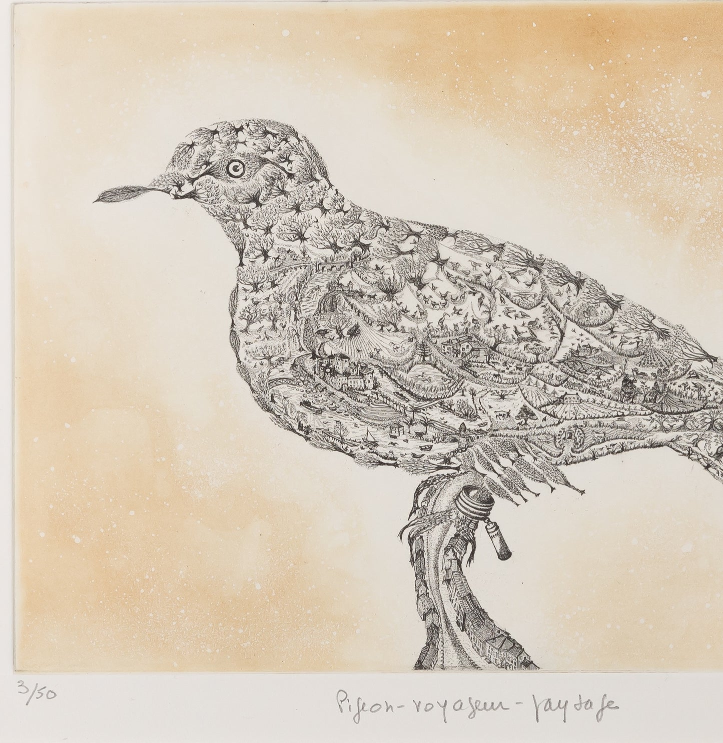 Maria PALETTA : Pigeon voyageur - Gravure originale signée