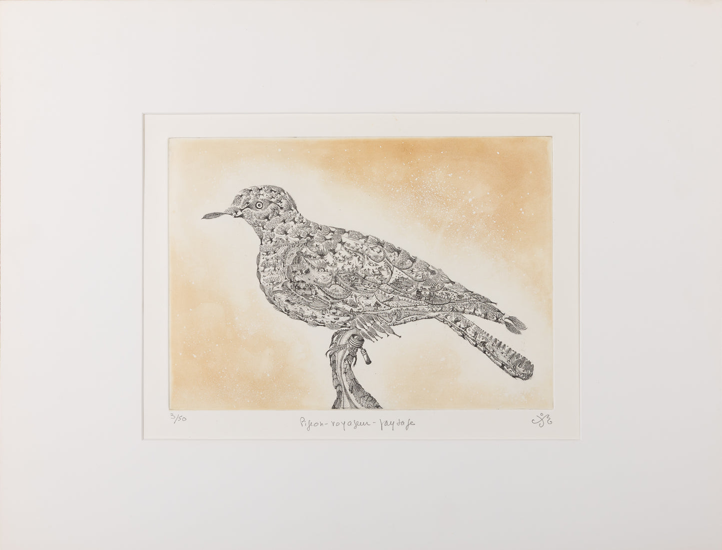 Maria PALETTA : Pigeon voyageur - Gravure originale signée