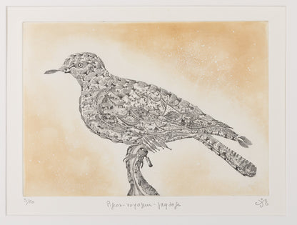 Maria PALETTA : Pigeon voyageur - Gravure originale signée