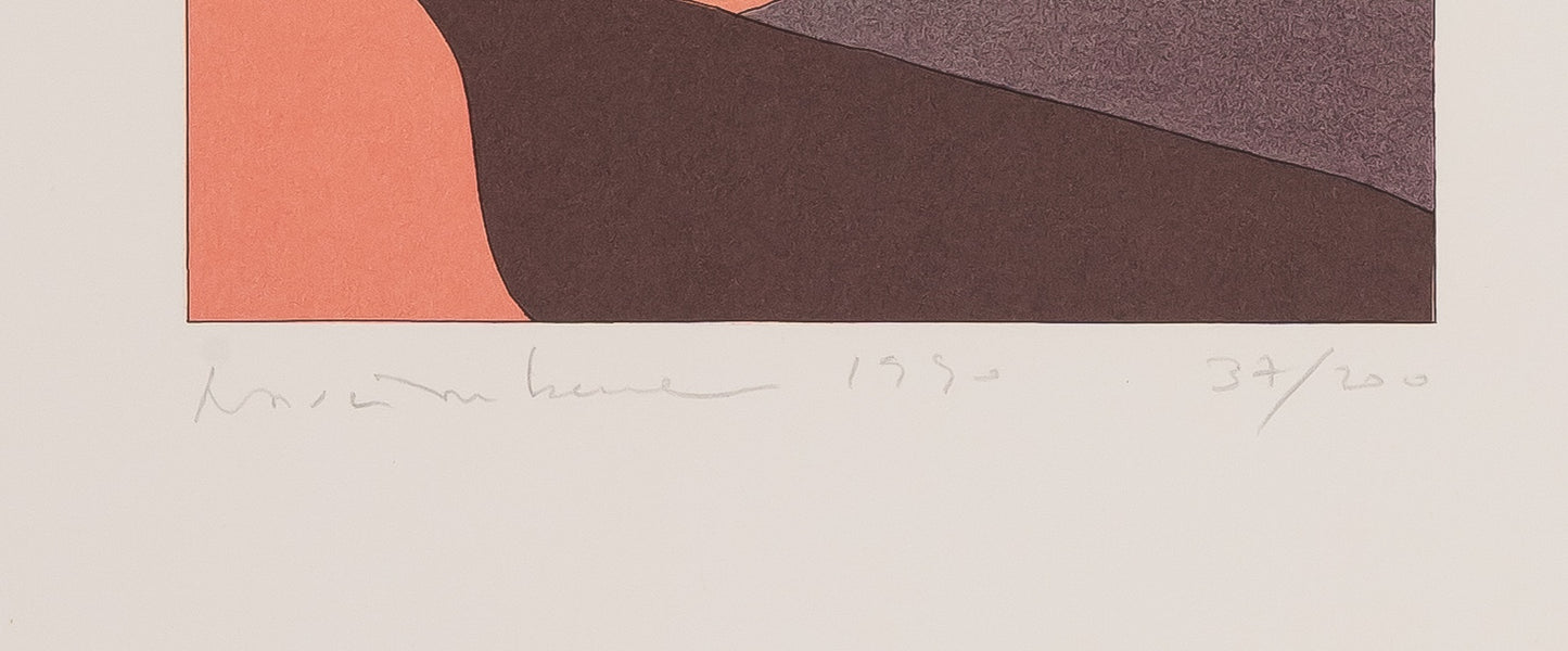 Yan NASCIMBENE : Paysage rose - Lithographie originale signée