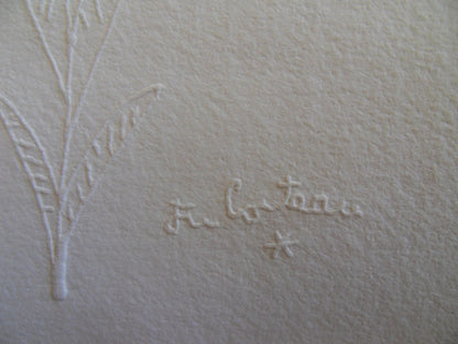 Jean COCTEAU : Profil fleuri - Gravure signée