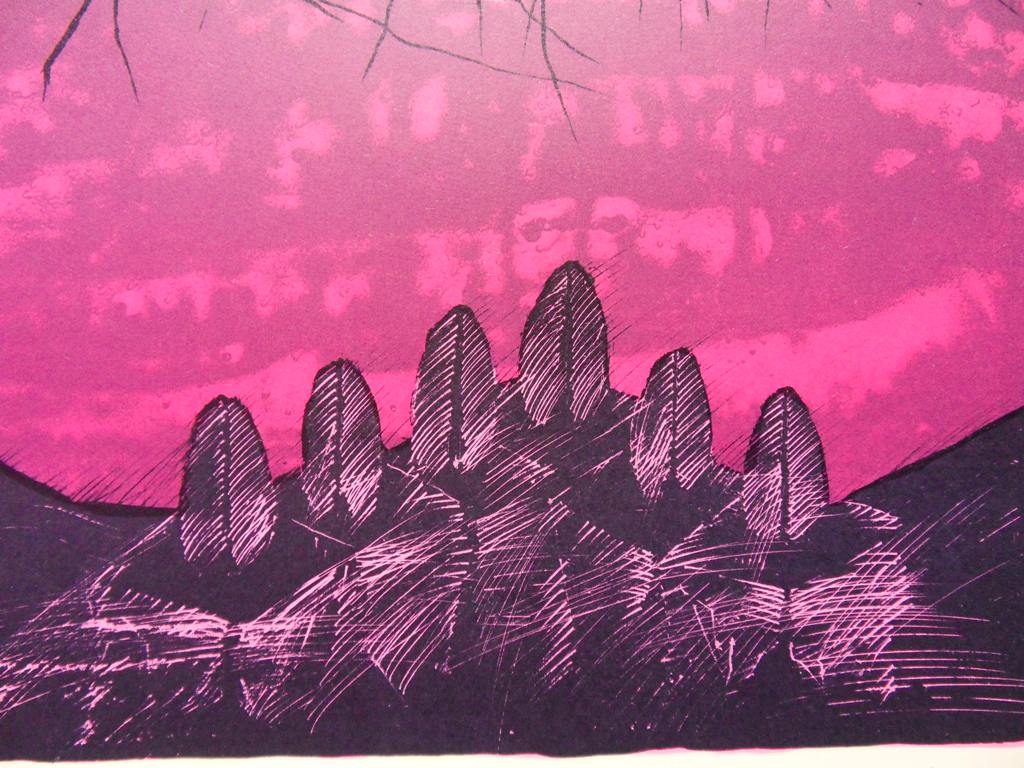 Cesare PEVERELLI : Champ de vitres roses  - Lithographie originale signée