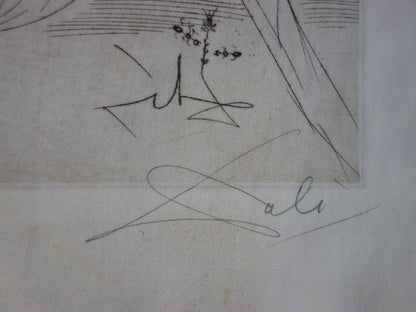 Salvador DALI : Le clown - Gravure originale signée