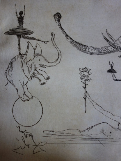 Salvador DALI : Eléphants - Gravure originale signée