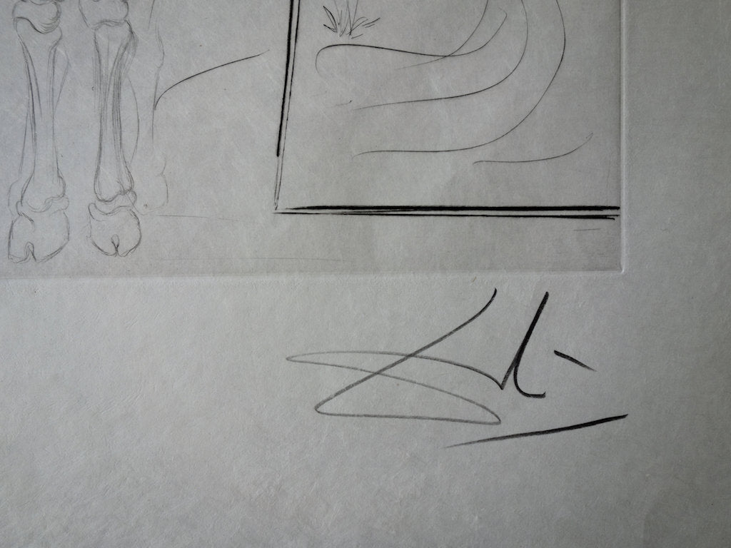 Salvador DALI : Don Quichotte et Sancho Panza - Gravure originale signée