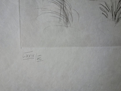 Salvador DALI : Don Quichotte et Sancho Panza - Gravure originale signée