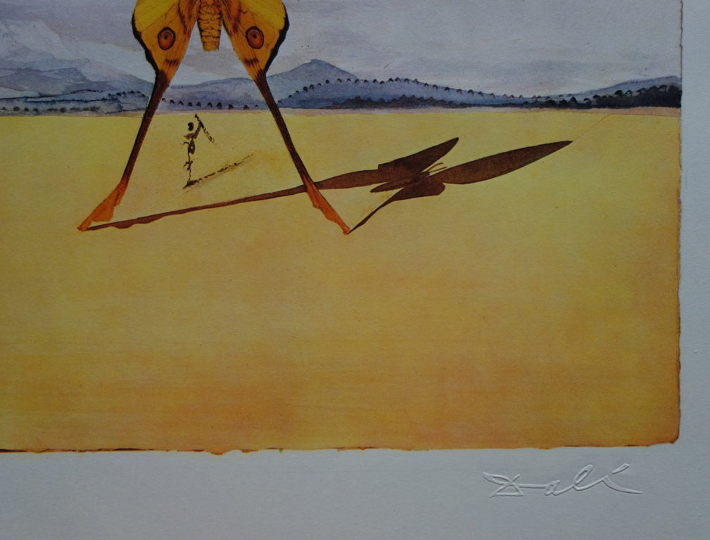 Salvador DALI : Roussillon - Lithographie originale signée SNCF, Suite Papillon