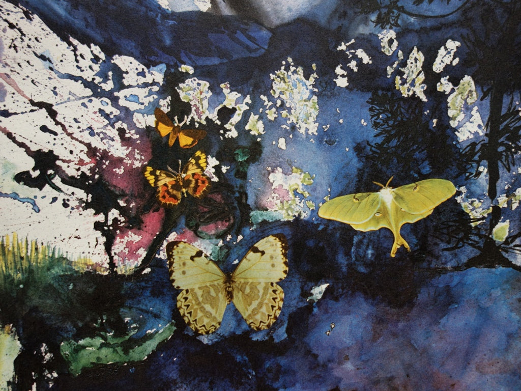 Salvador DALI : Alpes - Lithographie originale signée SNCF, Suite Papillon