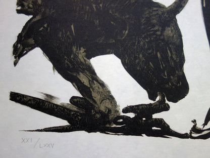 Salvador DALI : Torero noir - Lithographie originale signée