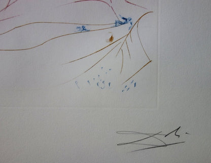 Salvador DALI: The Flying Dutchman: Homage to Wagner, Original signed engraving