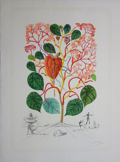 Salvador DALI : Bégonia, Le coeur - Gravure originale signée
