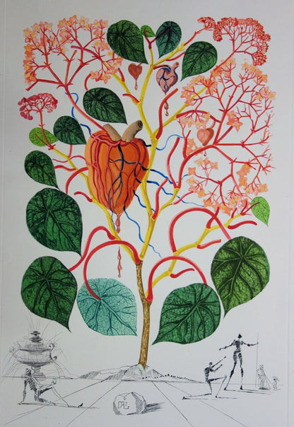 Salvador DALI : Bégonia, Le coeur - Gravure originale signée