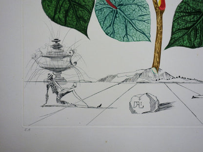 Salvador DALI : Bégonia, Le coeur - Gravure originale signée