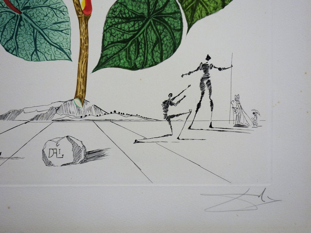 Salvador DALI : Bégonia, Le coeur - Gravure originale signée