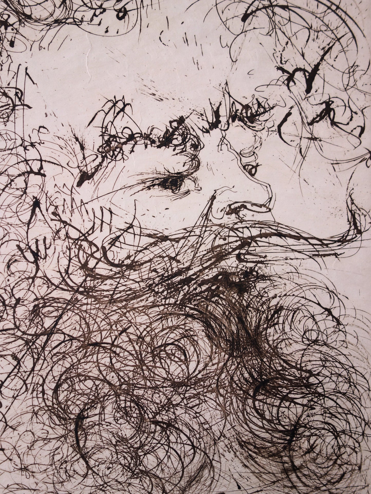 Salvador DALI : L'intellect jaillissant - Gravure originale signée et dédicacée
