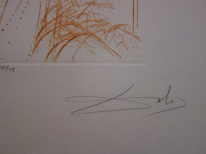 Salvador DALI : Le roi Lear - Gravure originale signée