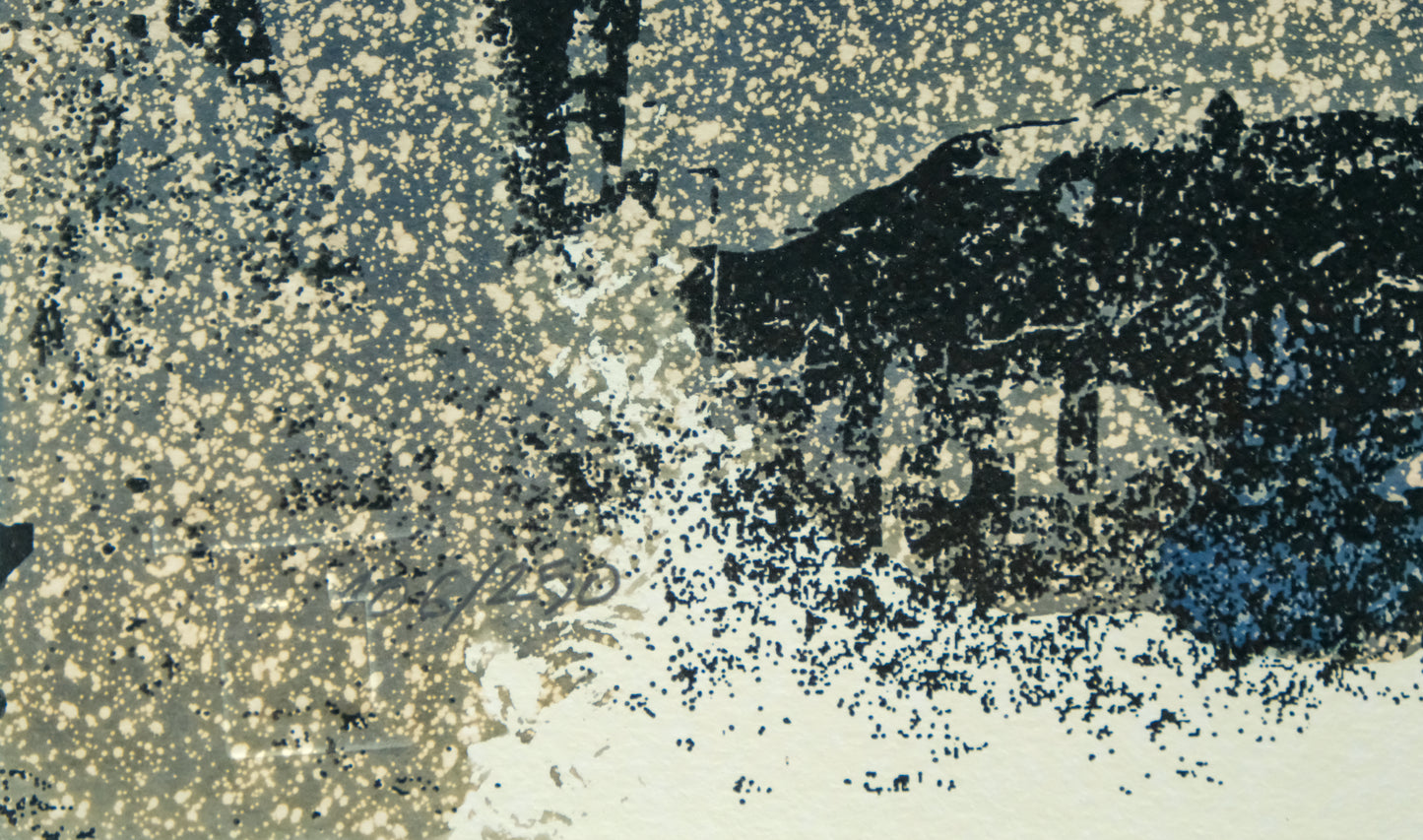 VHILS : Dusk - Sérigraphie originale signée
