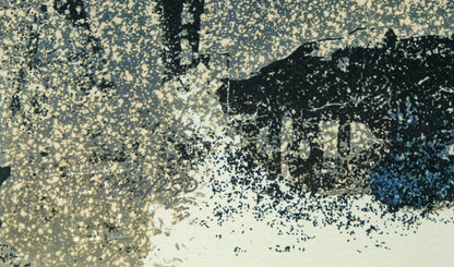 VHILS : Dusk - Sérigraphie originale signée