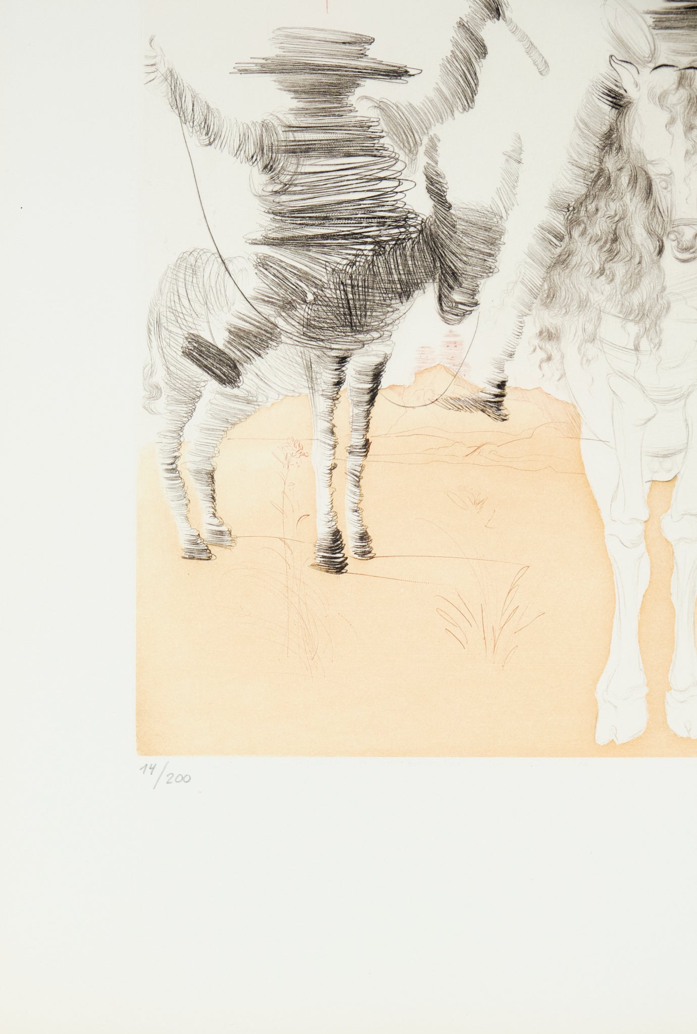 Salvador DALI : Don Quichotte et Sancho Panza - Gravure originale signée