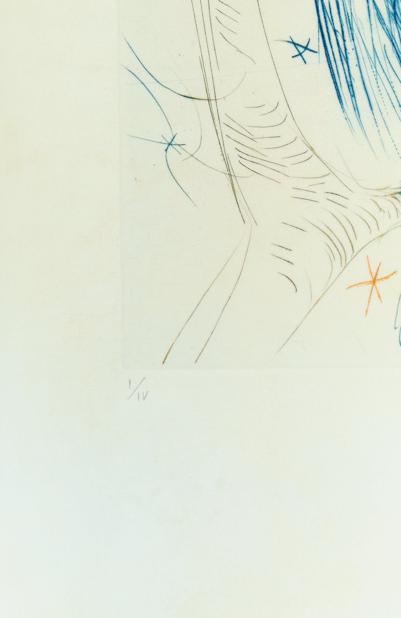 Salvador DALI : La Chouette Bleue - Gravure originale