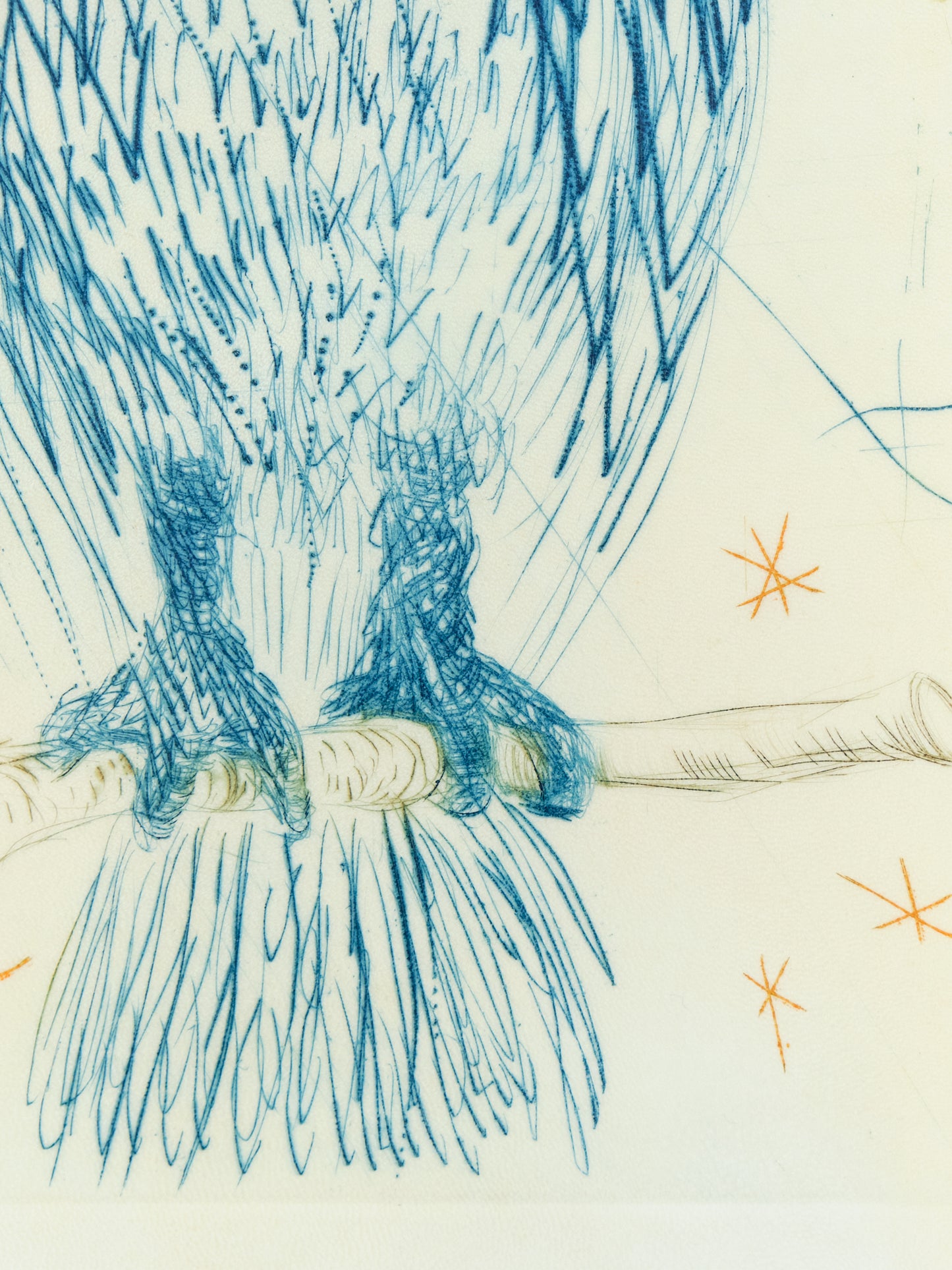 Salvador DALI : La Chouette Bleue - Gravure originale