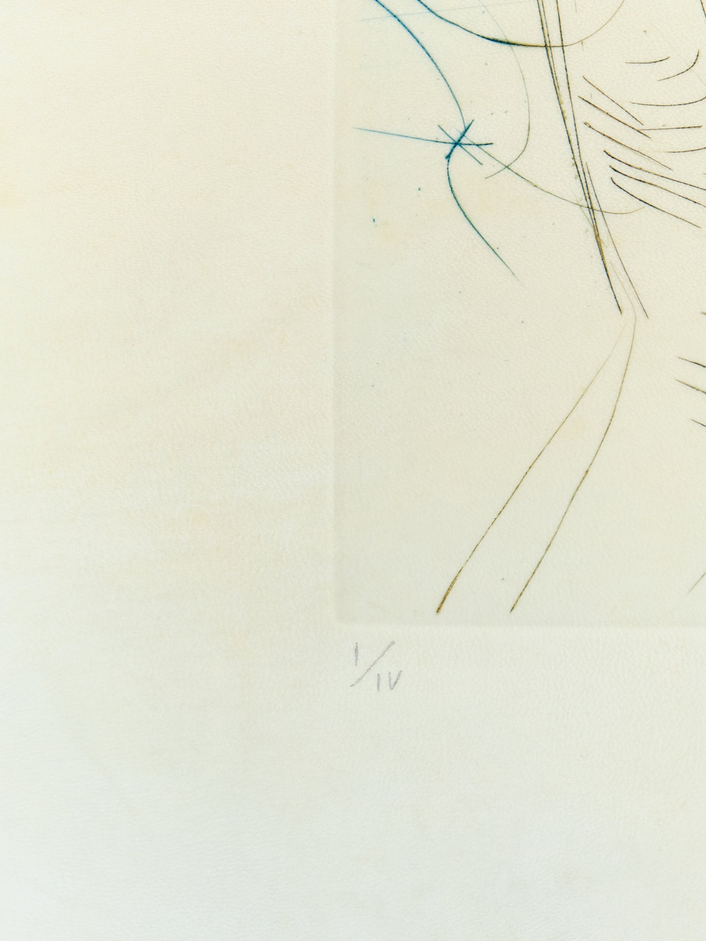 Salvador DALI : La Chouette Bleue - Gravure originale
