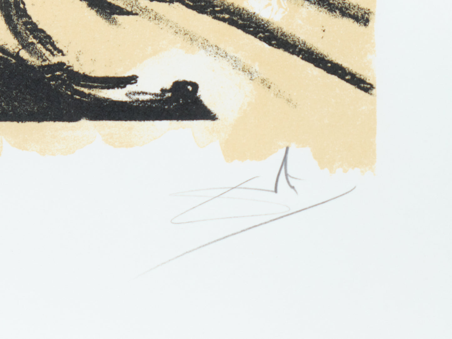 Salvador DALI : La main - Lithographie originale signée