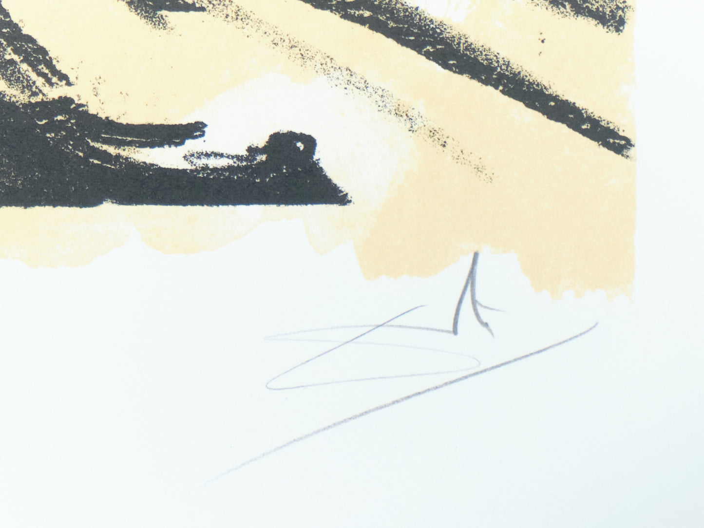 Salvador DALI : La main - Lithographie originale signée