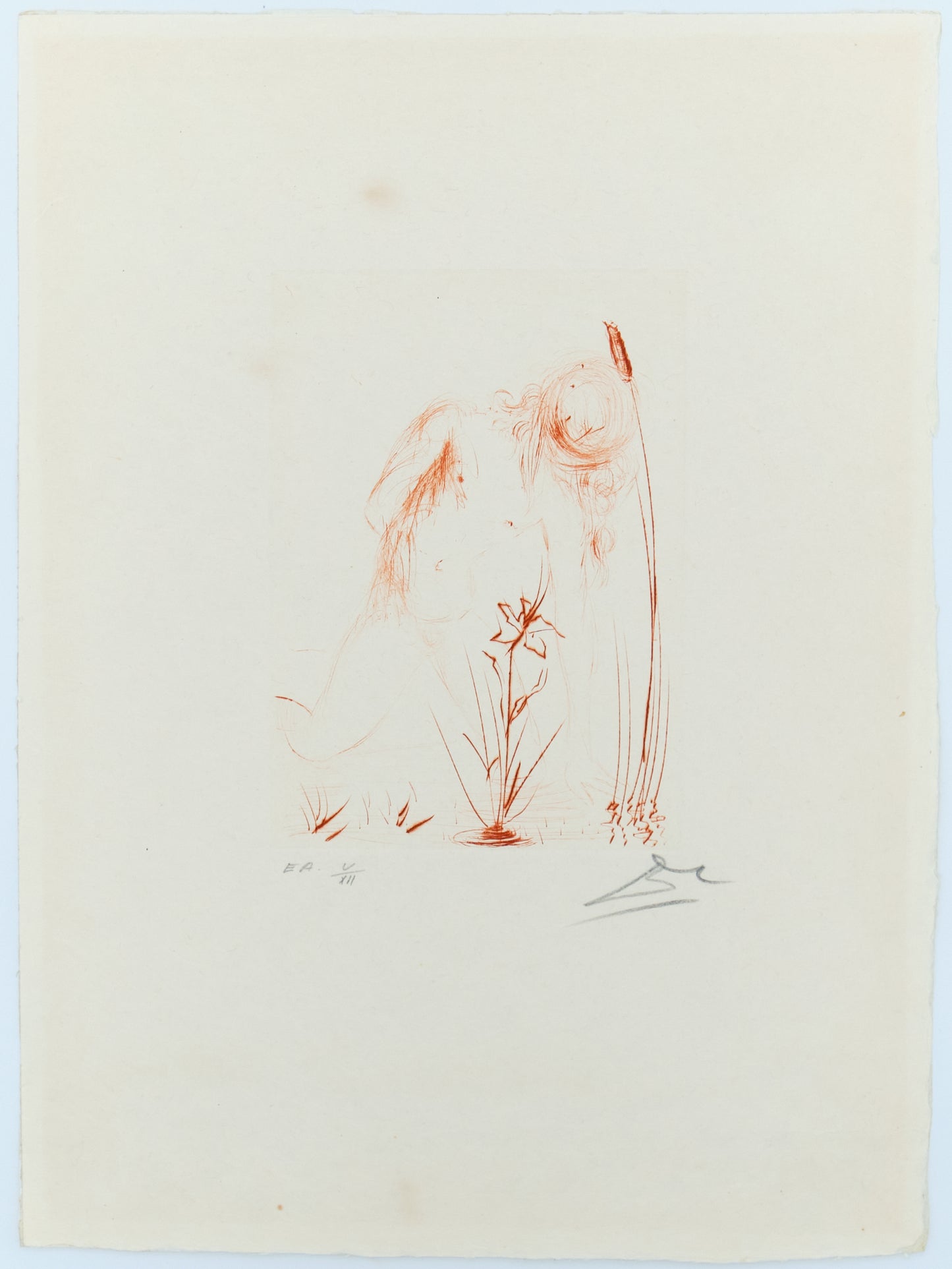 Salvador DALI : Narcisse - Gravure originale signée