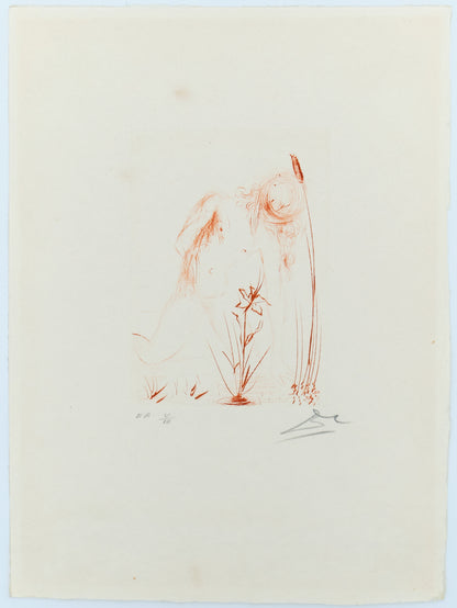 Salvador DALI : Narcisse - Gravure originale signée