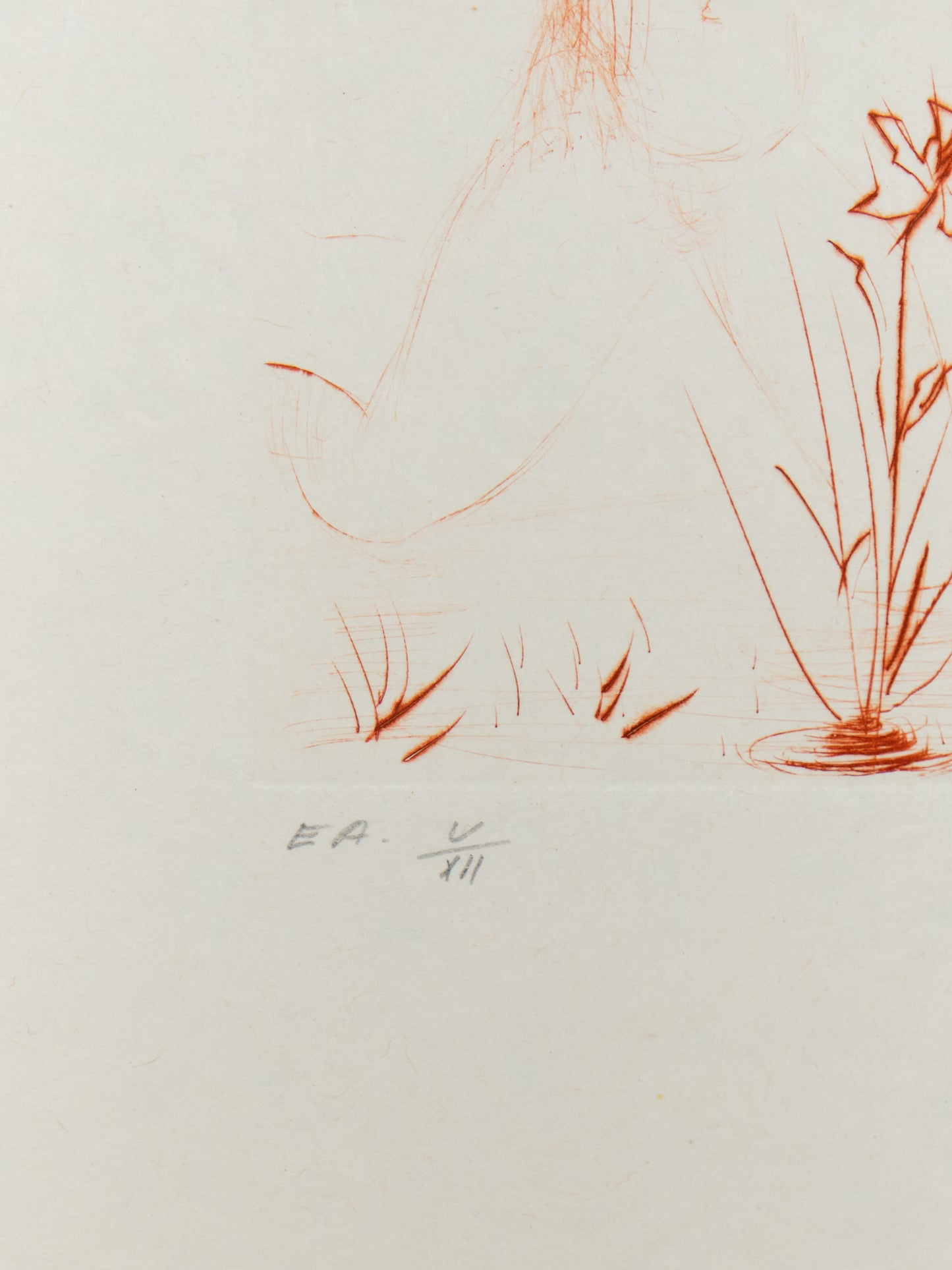 Salvador DALI : Narcisse - Gravure originale signée