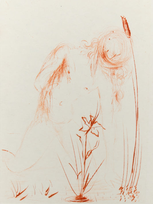 Salvador DALI : Narcisse - Gravure originale signée