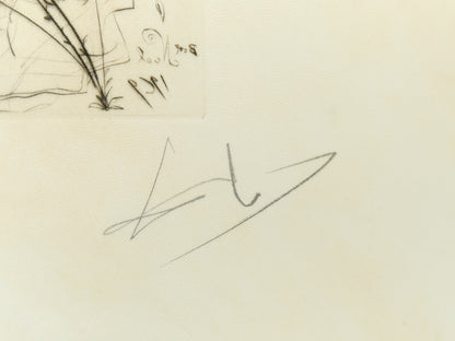 Salvador DALI : L'Ange - Gravure originale signée