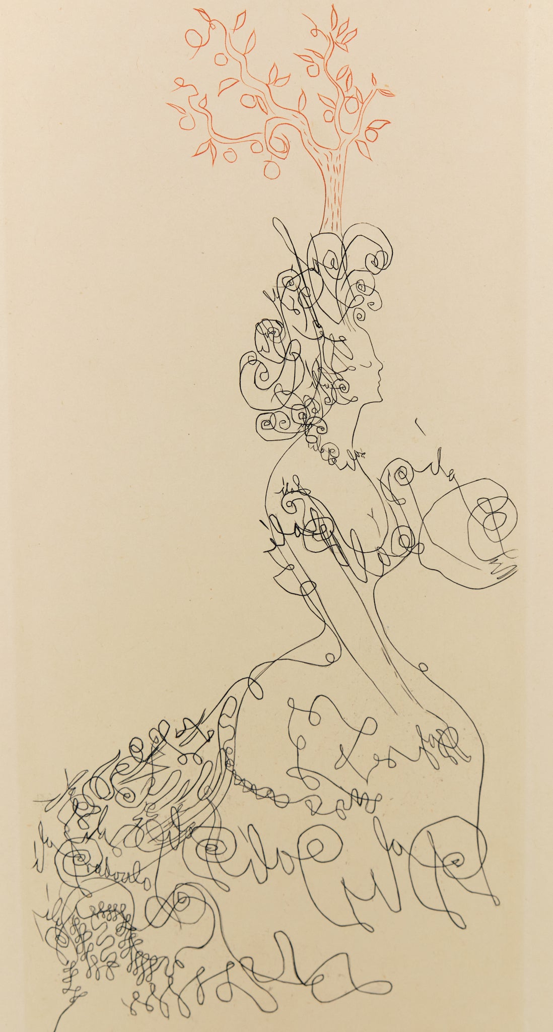 Salvador DALI : La Dame de l'Orangerie - Gravure originale signée