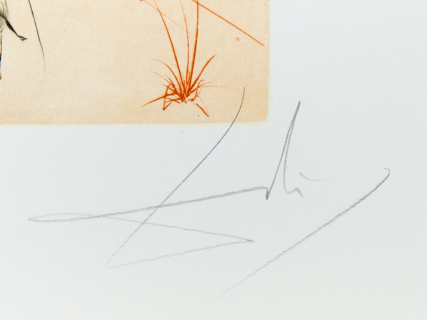 Salvador DALI : Don Quichotte et les moulins à vent - Gravure originale signée