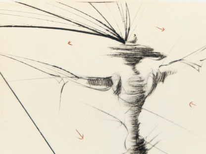 Salvador DALI : Le petit chevalier - Gravure originale signée