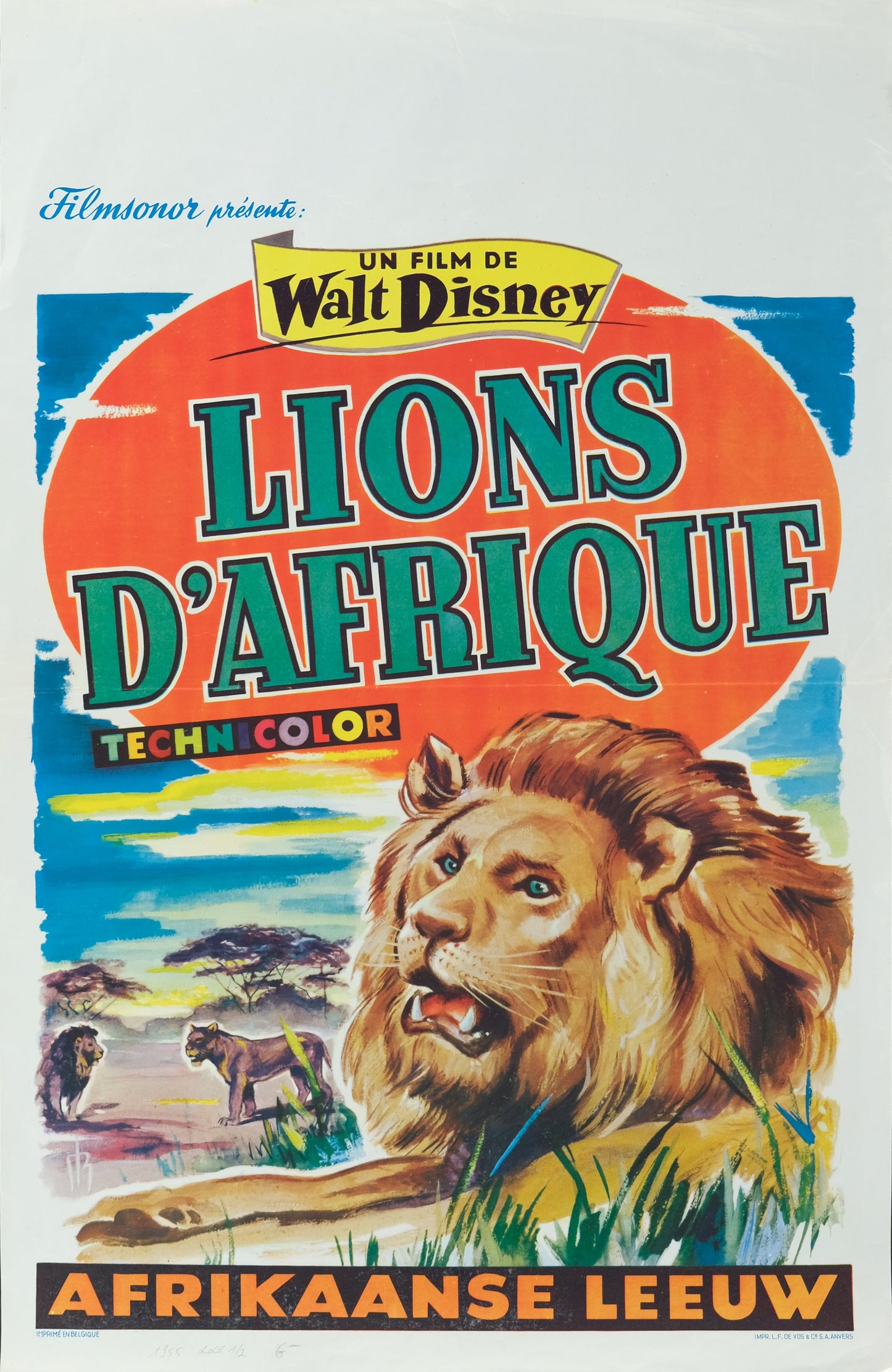 Walt DISNEY : Lion d'Afrique - Affiche originale en couleurs