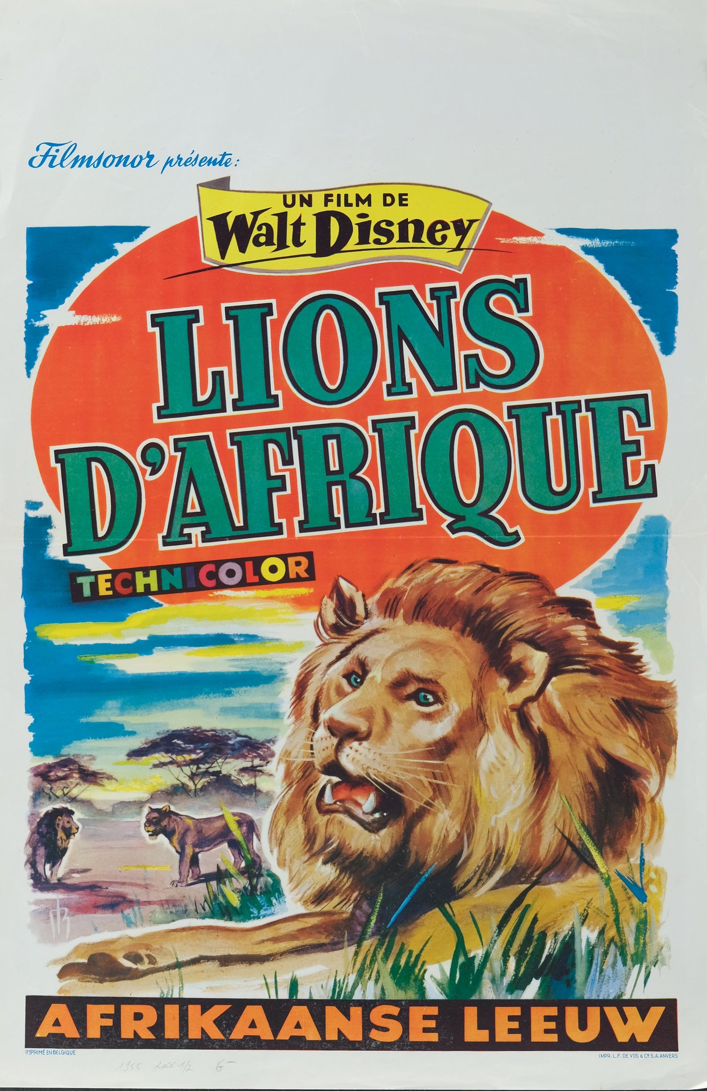 Walt DISNEY : Lion d'Afrique - Affiche originale en couleurs