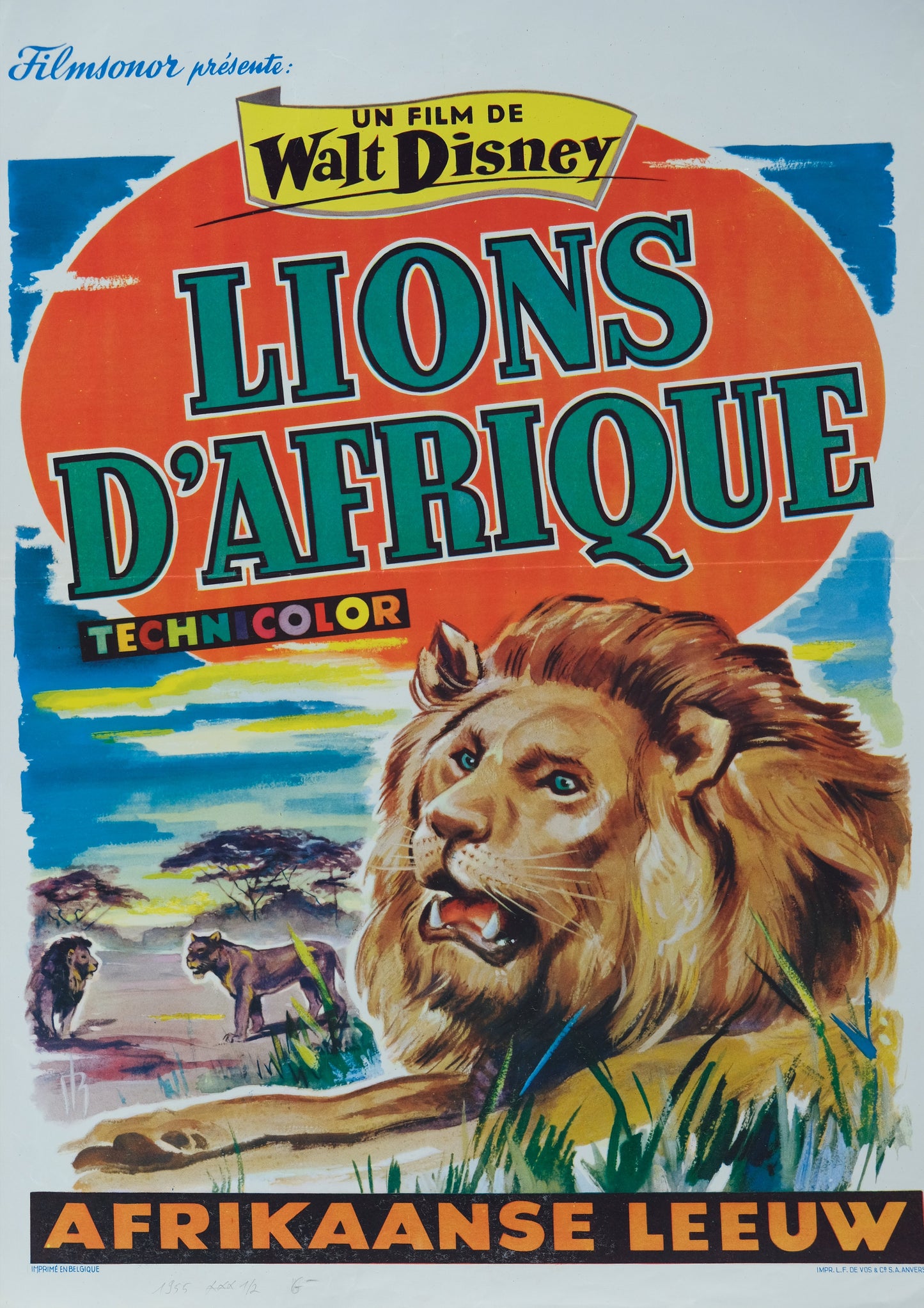 Walt DISNEY : Lion d'Afrique - Affiche originale en couleurs