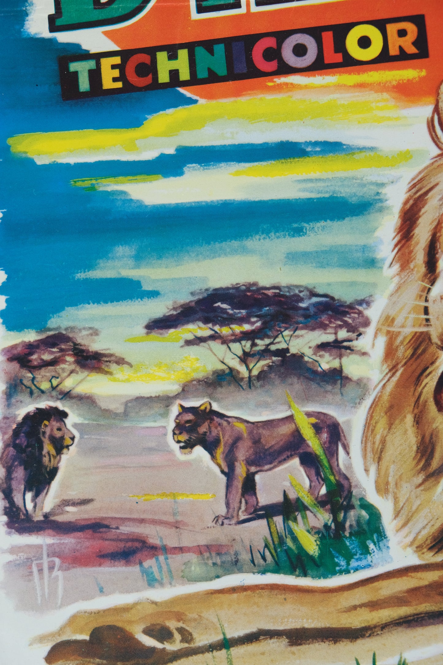 Walt DISNEY : Lion d'Afrique - Affiche originale en couleurs