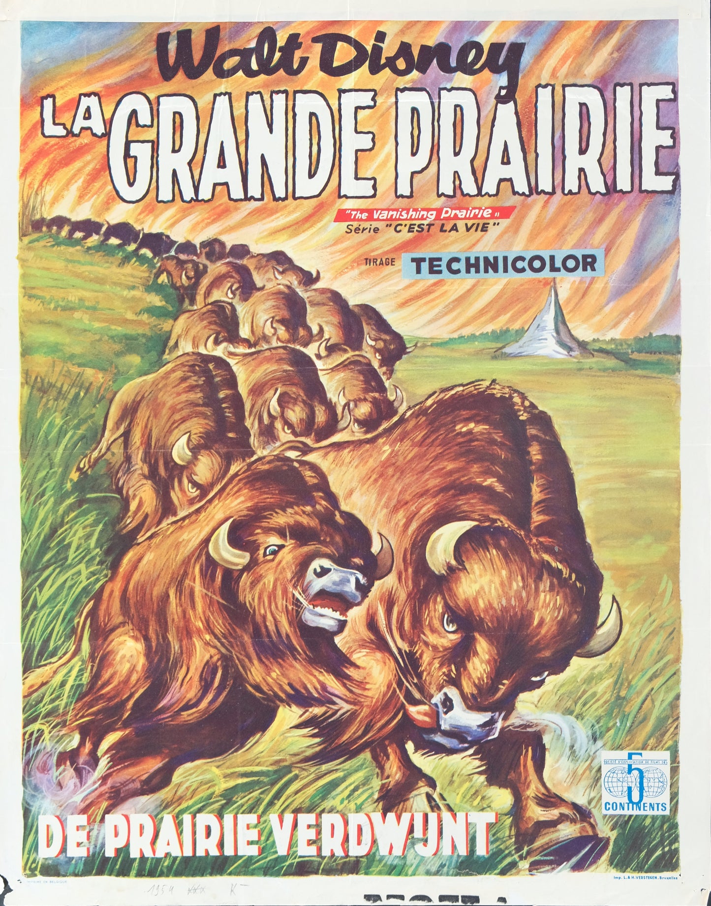 Walt DISNEY : La grande prairie - Affiche originale en couleurs