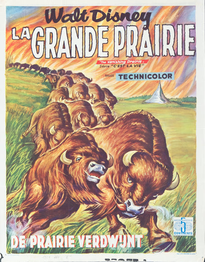 Walt DISNEY : La grande prairie - Affiche originale en couleurs